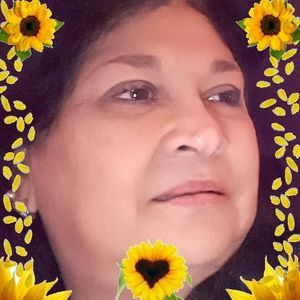 Meet your Posher, Dora